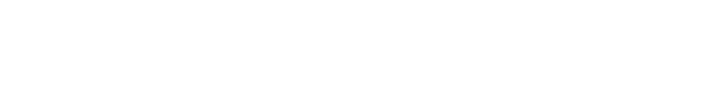 security solution